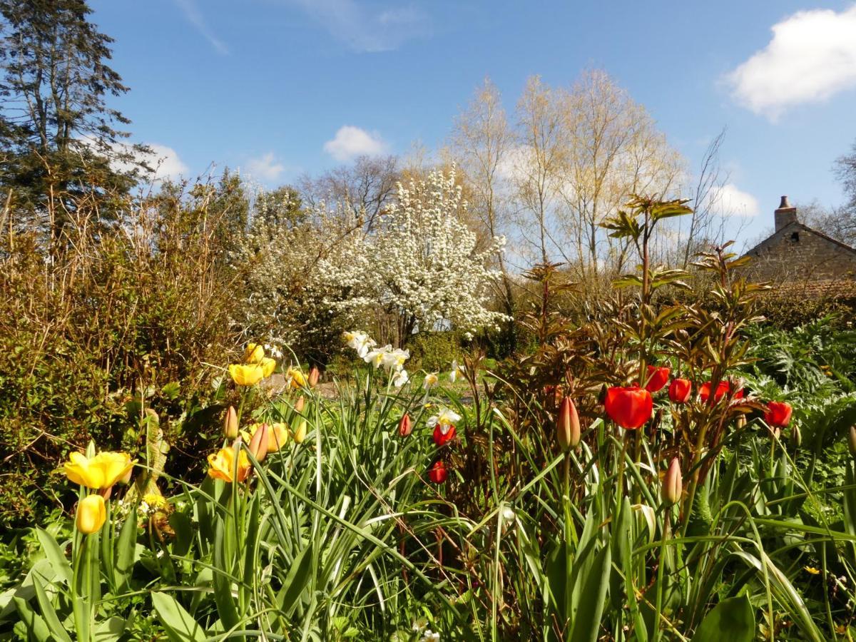Domaine De La Cour Vautier Bed & Breakfast Mandeville-en-Bessin Bagian luar foto