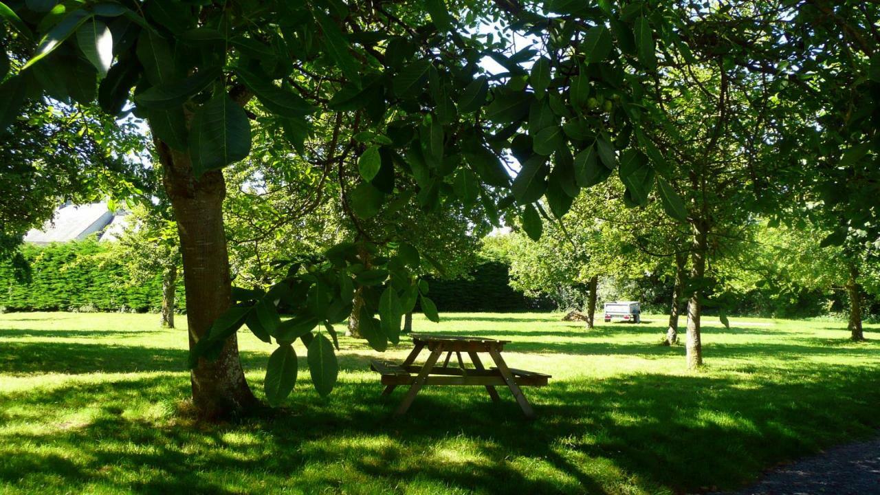 Domaine De La Cour Vautier Bed & Breakfast Mandeville-en-Bessin Bagian luar foto